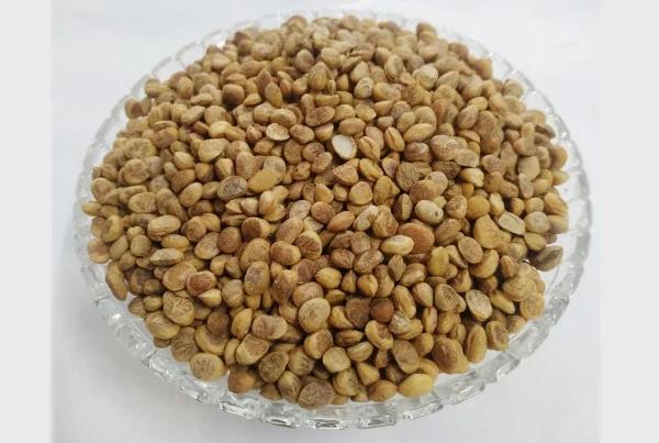 P R Dry Fruits